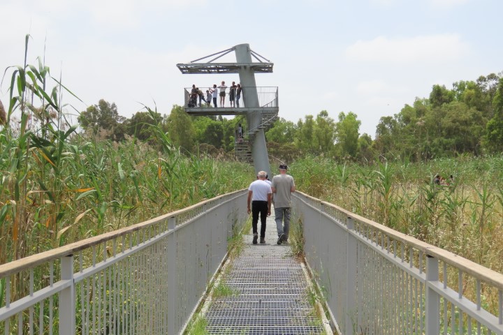שמורת טבע עיינות גיבתון עם מקווי מים בחורף