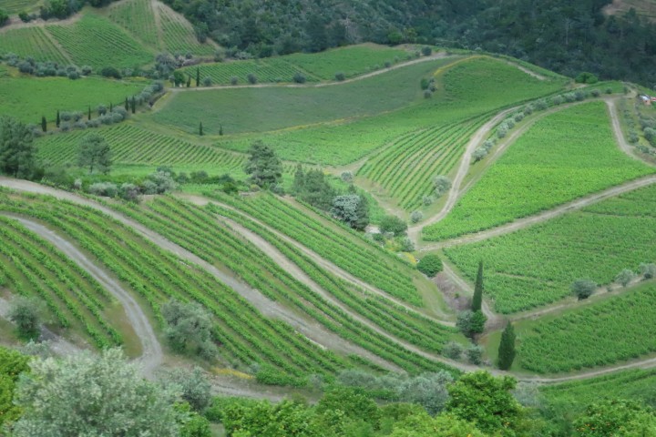 טרסות כרמים על מדרונות עמק הדואורו