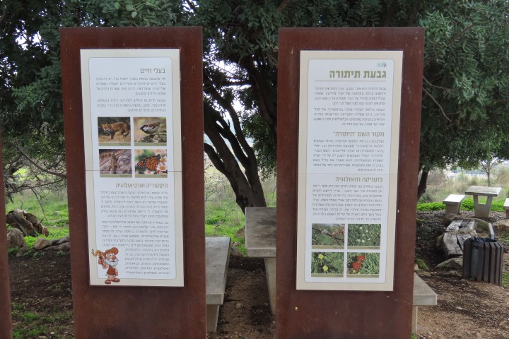 שלטי הסבר על הצמחייה ובעלי החיים בגבעת תיתורה