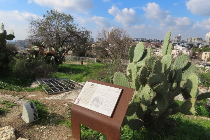 מקווה טהרה עתיק בגבעת תיתורה במודיעין