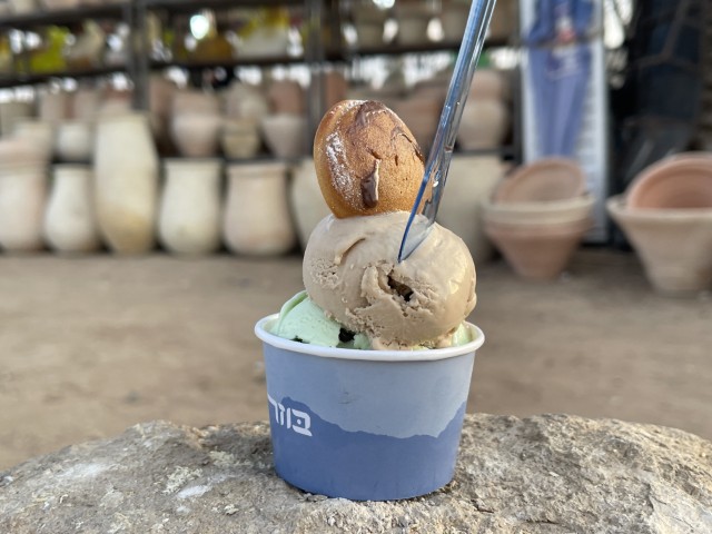 טעמים מיוחדים לצד הטעמים הקלאסיים בעגלת גלידה בוזה