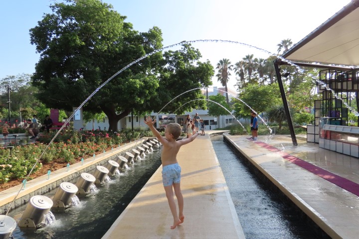 גן המדע, מכון דוידסון ברחובות
