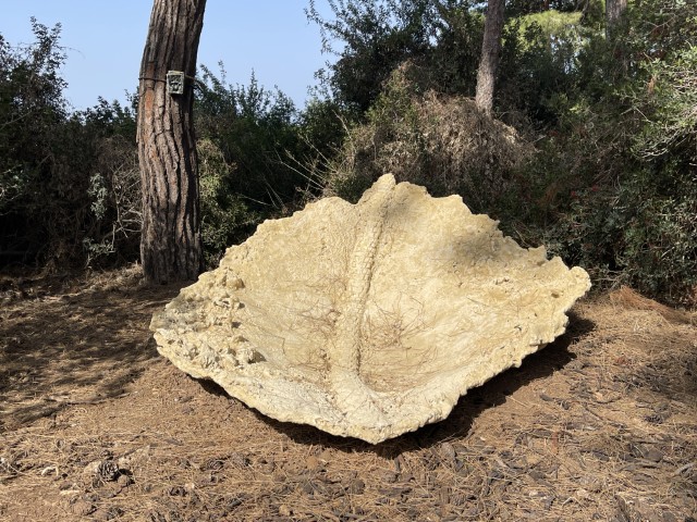 יצירת האמנית עדן בנט "מאובן דרך" ברמת הנדיב