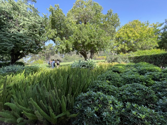 שבילים בצל העצים בגני רמת הנדיב