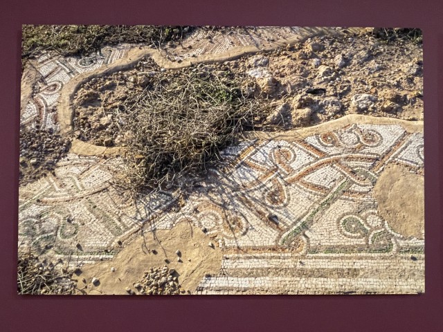 תיעוד הפסיפסים בשטח בעונות שונות של השנה - יצירת האמנית אורית סימן טוב