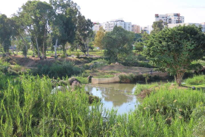 אתר עשר טחנות בערוץ נחל הירקון בפארק הירקון