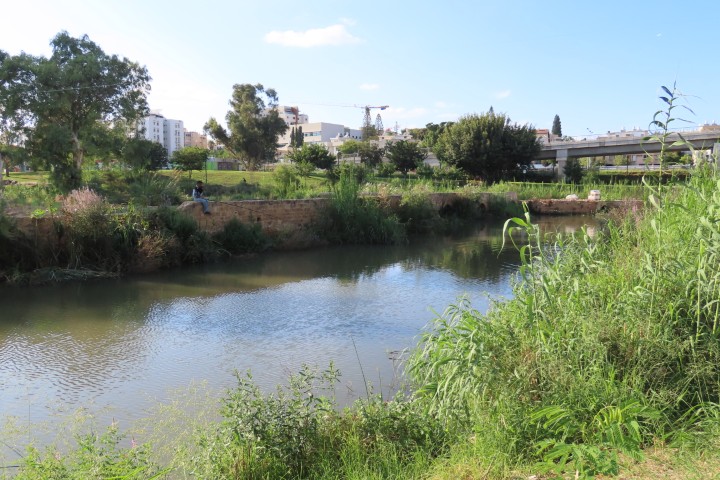 ערוץ נחל ירקון במתחם הלב הפראי
