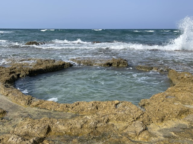 הבריכה העגולה בחוף שמורת ים שקמונה בחיפה
