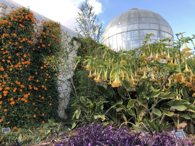 הגן הבוטני בירושלים