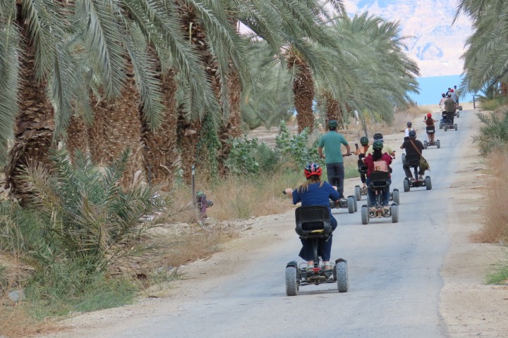 טיול ריידרים בין מטעי התמרים של תיירות ים המלח