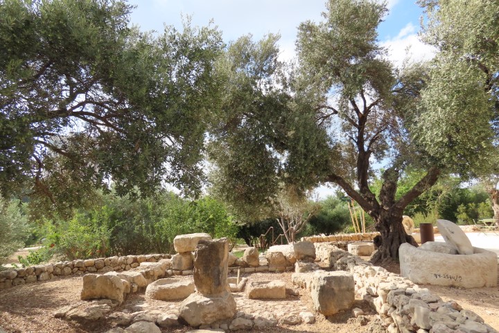 בוסתן מוזיאון ארץ ישראל