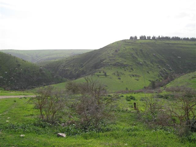שמורת נחל תבור בגליל התחתון בעונת החורף
