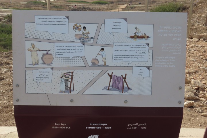 שלט הסבר על תהליך הפקת צבע הארגמן מחלזונות ימיים בתל שקמונה