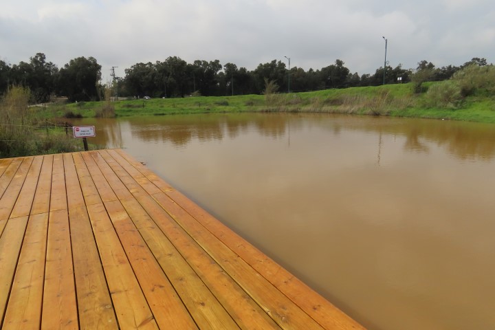 בריכת חורף בלב השרון מוקפת צמחייה עונתית