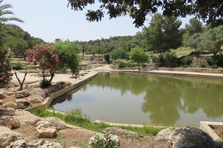 פארק איילון קנדה בין לטרון לשער הגיא בחורף