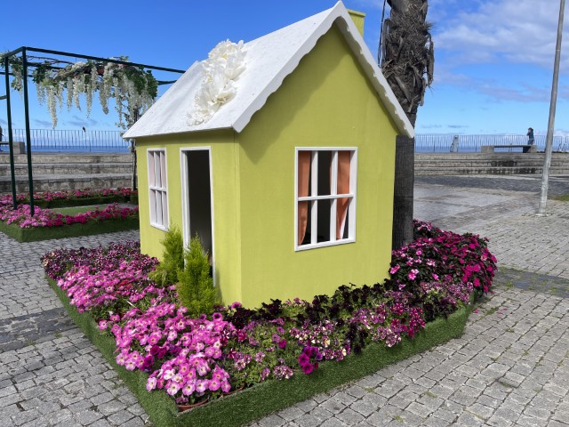 מיצבי פרחים בכיכר המרכזית של Ribeira Brava במדיירה