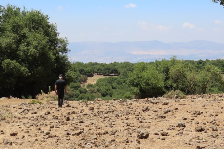 הג'ובה הגדולה ביער אודם