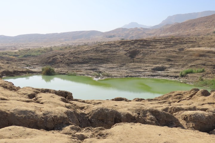 מעיינות מתוקים זורמים לבריכות מלוחות בים המלח