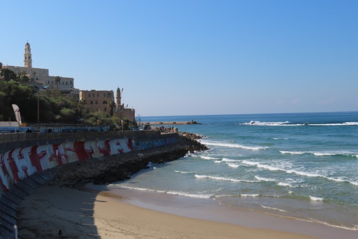 נמל יפו