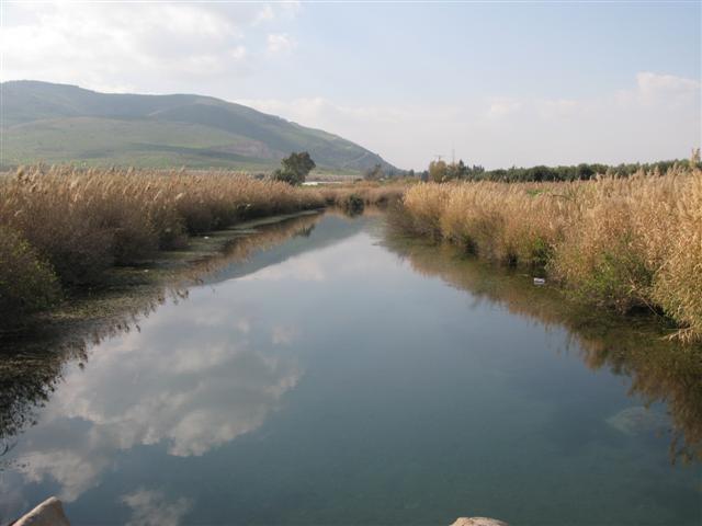 בריכות מים טבעיות בנחל הקיבוצים בעמק המעיינות עם עצי אקליפטוס