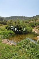 צלם: רונית סבירסקי