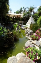 צלם: רונית סבירסקי