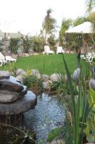 צלם: רונית סבירסקי