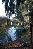 צלם: רביד בירן