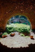 צלם: רביד בירן