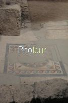 צלם: רונית סבירסקי