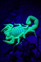 צלם: מרק הולדרייד