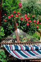 צלם: רון שלף