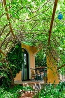 צלם: רון שלף