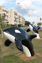 צלם: רונית סבירסקי