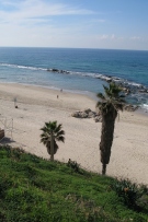 צלם: רונית סבירסקי