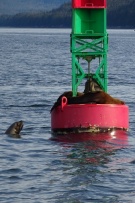צלם: רונית סבירסקי