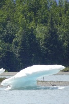 צלם: רונית סבירסקי