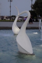 צלם: Ronit Svirsky