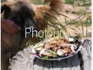 צלם: PHOTOUR צלם: PHOTOUR