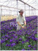 צלם: PHOTOUR צלם: PHOTOUR
