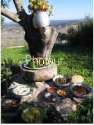 צלם: PHOTOUR צלם: PHOTOUR