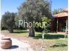 צלם: PHOTOUR צלם: PHOTOUR