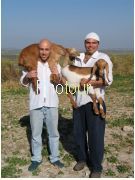 צלם: PHOTOUR צלם: PHOTOUR