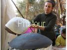 צלם: PHOTOUR צלם: PHOTOUR
