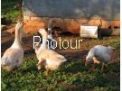 צלם: PHOTOUR צלם: PHOTOUR