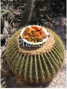 צלם: PHOTOUR צלם: PHOTOUR