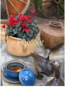 צלם: PHOTOUR צלם: PHOTOUR